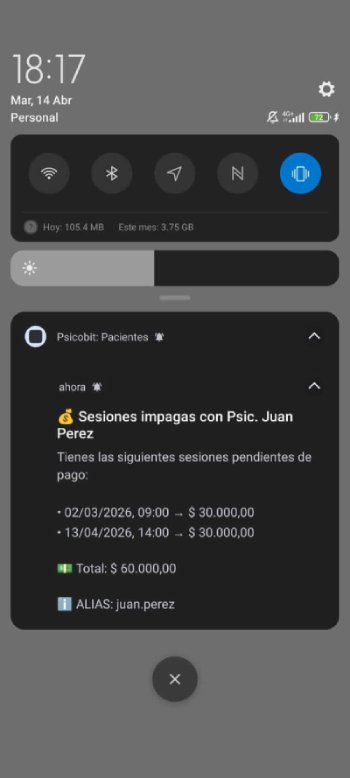 Recordatorio de deuda total notificación